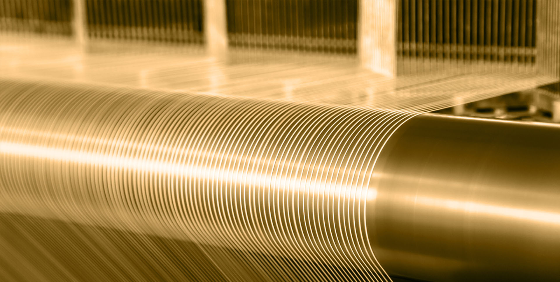 专注高端尼龙面料14载